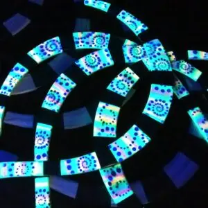 Contact Set